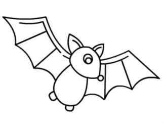 蝙蝠5