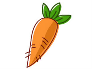 胡萝卜5