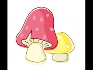 蘑菇98
