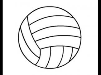排球26