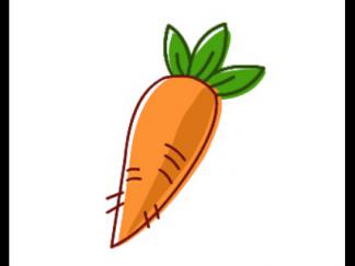胡萝卜57
