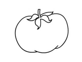 番茄4