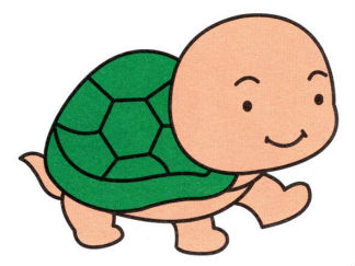 小乌龟3