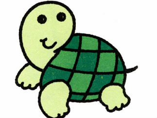 乌龟10