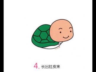 小乌龟34