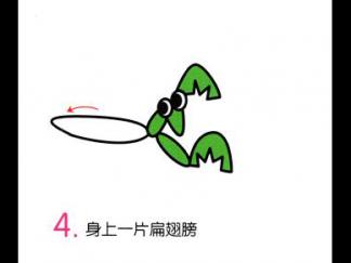 小螳螂4
