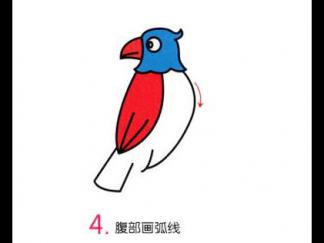 小鹦鹉4