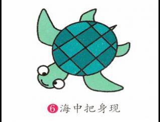 小海龟6