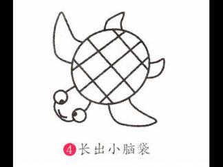 小海龟4