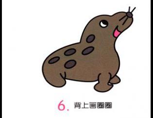 小海豹6