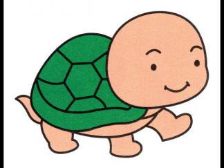 小乌龟37
