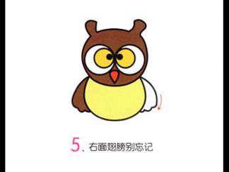 小猫头鹰5