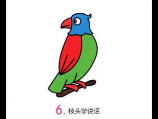 小鹦鹉6