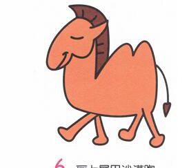 小骆驼6