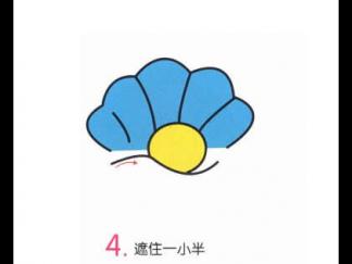 小贝壳4