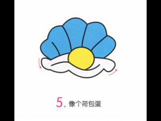 小贝壳5