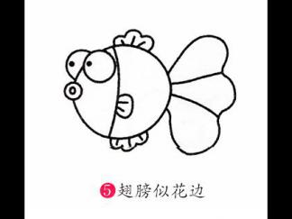 小金鱼5
