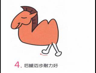 小骆驼4