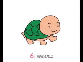 小乌龟36