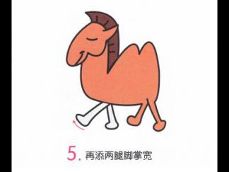 小骆驼5