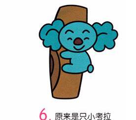 小考拉6