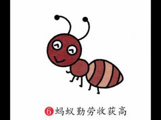 蚂蚁56