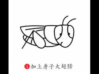 蚱蜢24