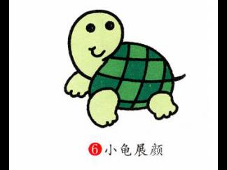 乌龟106