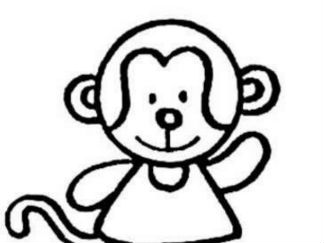 猴子13