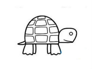 乌龟11