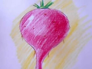 红萝卜