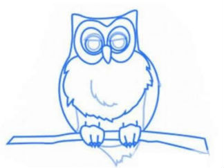 猫头鹰11
