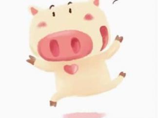 卡通小猪26