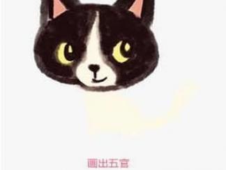 小黑猫5