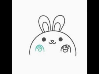 小兔子46