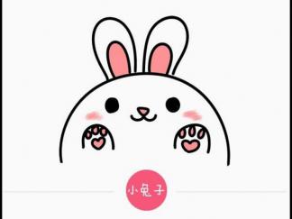 小兔子47