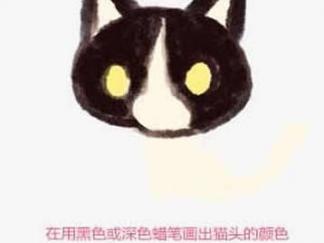 小黑猫4