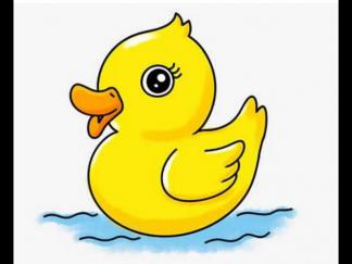小黄鸭29