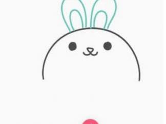 小兔子44