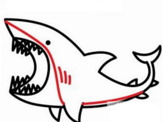 鲨鱼8
