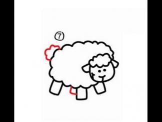 小绵羊57
