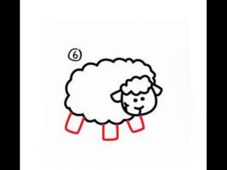 小绵羊56
