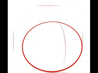 红色愤怒的小鸟1