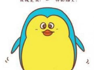 小企鹅48