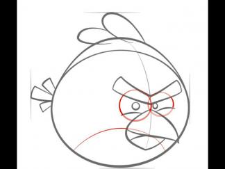 红色愤怒的小鸟6