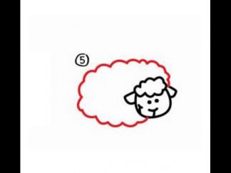 小绵羊55