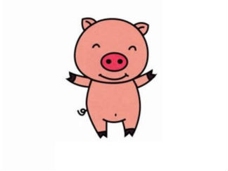 小猪9