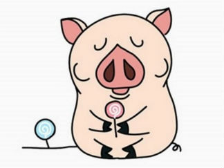 萌萌的小猪