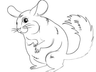 卡通南美洲栗鼠