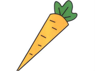 胡萝卜7